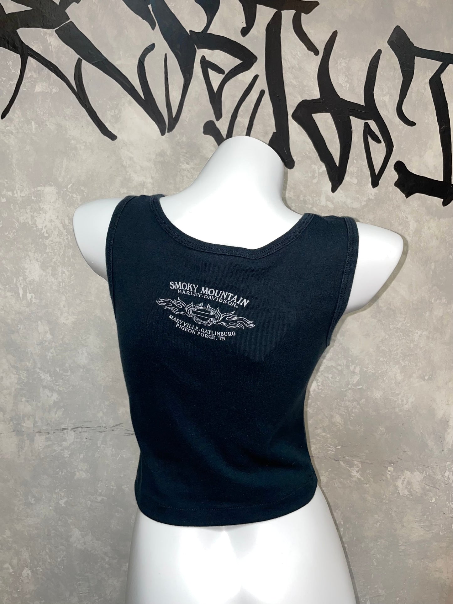 哈雷戴維森翻拍版