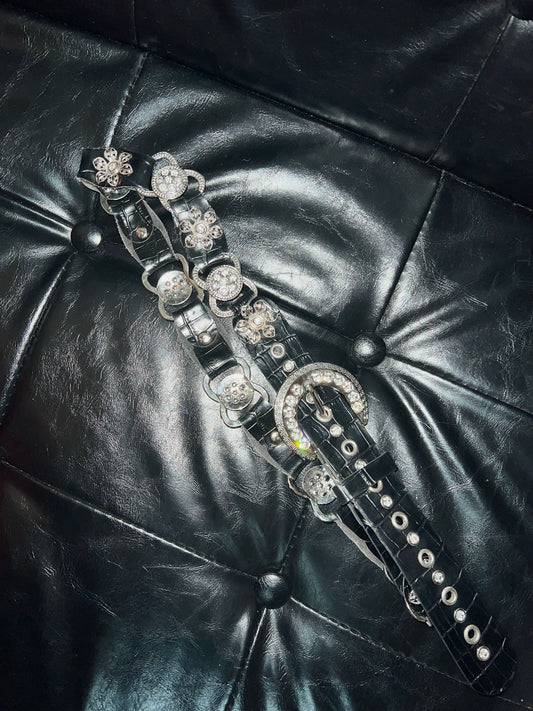 Vintage Shining Belt